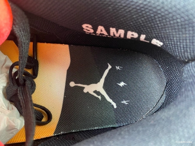 Rio Balvin Air J FN0344-001 x Jordan 3 0910